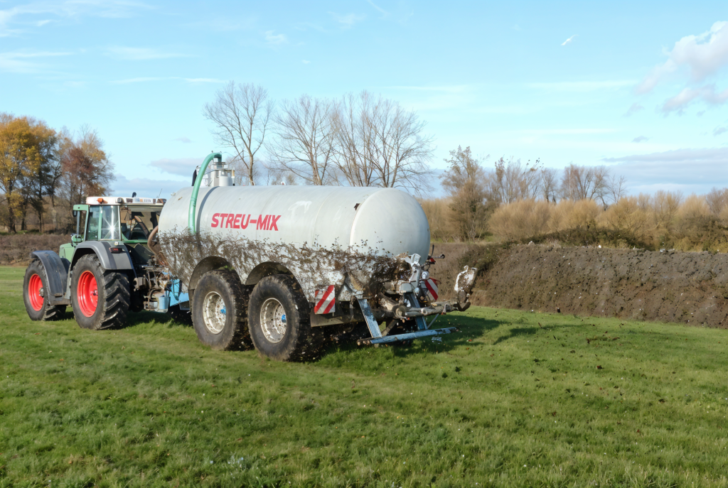 freepik__enhance__67661